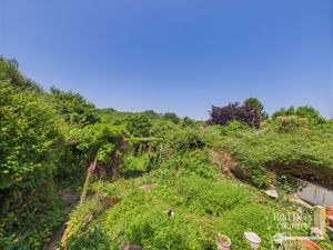 Garden- click for photo gallery